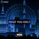 What You Feel Single