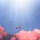 Floating On Clouds Single
