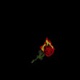 Residuals feat Isaiah Nicholas Twoo Single