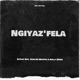 Ngiyaz fela feat Soultee Martin Nolly Renee Single