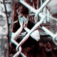 Toxic Single