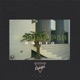 Pineapple Radio Just Kiddin Remix Single