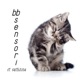 bb sensori feat faithluna Single