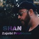 Zajebi Probleme Single