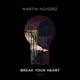 Break Your Heart Single