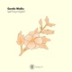 Gentle Walks Single
