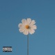 ANYMORE feat TG Single