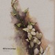 Will to live strings Single