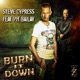 Burn It Down feat Pit Bailay EP
