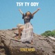 Tsy ty hody Single