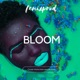 Bloom Single