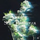 Soft Disappear Single