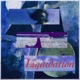 Liquidation Single
