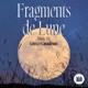Fragments de Lune