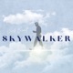 SKYWALKER feat Dubbygotbars Single