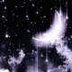 stars align feat Batya Belle Single