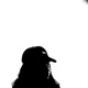 Tomorrow Will Come HGHTS Remix Single