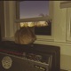 Daydreaming about Nightmares Single