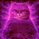 MONTAGEM AY MI GATITO EP