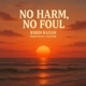 No Harm No Foul feat Rsieh Raxan Single