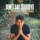 Don t Say Goodbye Single