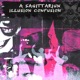 Illusion Confusion Single