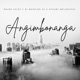 Angimbonanga feat Nthaby Melodious Dj Mankind SA Single