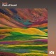 Flash of Sound Single