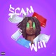 scamWill