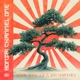 Bonzai Channel One Single