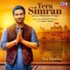 Tera Simran Lofi Mix Single