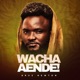 Wacha Aende Single