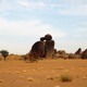 Azawad Single