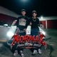 Normal Single