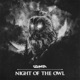 Night of the Owl EP