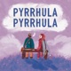 Pyrrhula pyrrhula Single
