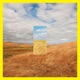 Standing in the Middle of the Field Remixes Single