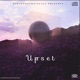 Upset feat Travis Ocean BlissxHarmony Single