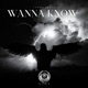 Wanna Know Single