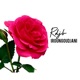 IROUNGOUDJANI Single