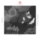 Cloud The Rays EP
