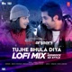 Tujhe Bhula Diya Lofi Mix Single