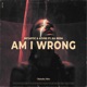 Am I Wrong feat Ka Reem Single