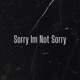 Sorry Im Not Sorry Single