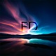 FD Single