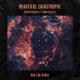 Beautiful Catastrophe Ben Fox Remix feat Frank Bentley Single