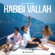 Habibi Vallah Single