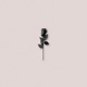 Black Rose Single