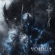 Voidlit Single