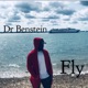 Fly Single